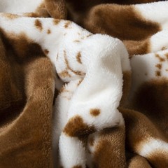CARSTENS, INC. Travel Blanket, Premium Compact 2-in-1 50″ x 60″, Cow Print