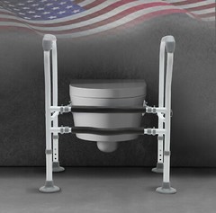 Toilet Frame Grab Bars Safety Rail Seat Handicap Assist For Senior Arm rest NEW