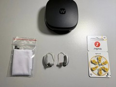 Widex Daily 100 Passion Micro RIC hearing aids
