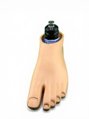 Blatchford Avalon Hydraulic Ankle Prosthetic Foot. Left. Size 29. Excellent cond