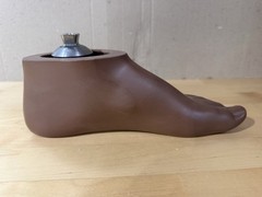 WillowWood SACH Prosthetic Foot with Integrated Titanium Pyramid 25cm
