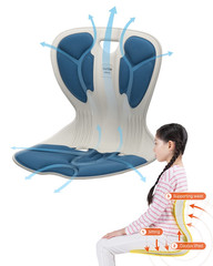 Ergonomic Chair Back Support, Small and Flexible Posture Corrector for Child an