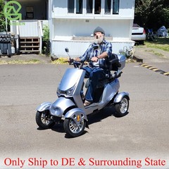 4 Wheel Electric Mobility Scooter 800W 60V 20AH 500lbs 31 miles for Seniors