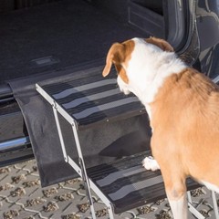 Trixie Foldable Aluminum Pet Steps For Dogs Up To 165 Pounds Adjustable From