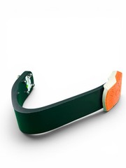 Levitate 2 prosthetic running blade foot. Great cond. category 4.5.