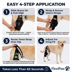 Dog Knee Brace for Torn ACL & CCL, Luxating Patella Support, Cold Therapy, Stabi
