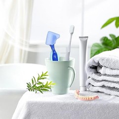 2pcs Soft Silicone Denture Brush Cover Fit Most Denture Toothbrushes | Blue