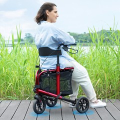 Rollator Rolling Walker with Seat for Senior 3-Wheel Lightweight Foldable Red US