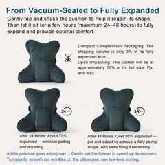 Lumbar Pillow(Pat. Pend) for Lower Back Pain – Multi-Functional Ergonomic Lum…