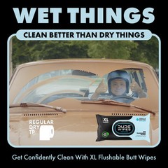 DUDE Wipes Medicated Flushable Wipes 48 Count Extra Large Witch Hazel Aloe Vera