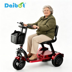 Daibot 1000W 3 Wheel Foldable Mobility Scooter for Adult Senior Electric