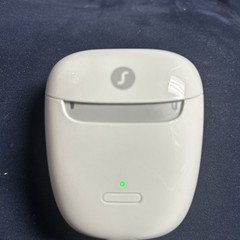Signia Travel Charger RIC Charging Case