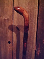 walking stick natural grown ROOT KNOB HANDLE for AVERAGE sized hands MADE IN USA