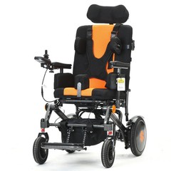 Pegasus Cerebral Palsy