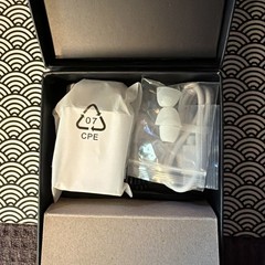 Audien ATOM PRO 2 Wireless Rechargeable OTC Hearing Aid