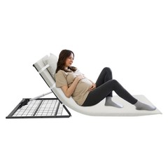 330LBS 600W Adjustable Electric Lifting Bed Backrest For Elderly Pregnant Women