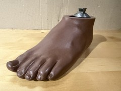 WillowWood SACH Prosthetic Foot with Integrated Titanium Pyramid 25cm