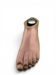 Ohio Willow Wood Sach prosthetic foot w/ titanium pyramid. Left. Size 29