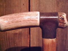 ELK ANTLER HANDLE walking stick natural grown MAPLE wood shaft made in the USA