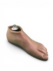 Ohio Willow Wood Sach prosthetic foot w/ titanium pyramid. Left. Size 29