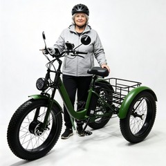 Daibot 750W 24 Inch Fat Tire Mobility Trike for Adults All Terrain Shopping