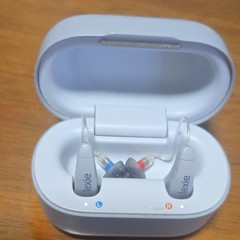 Lexie B2+ Powered by Bose ITE Rechargeable Hearing Aids. Charging Case Gray