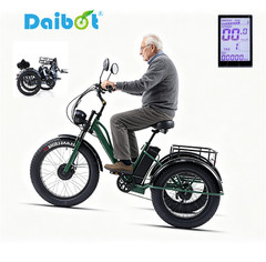 Daibot 750W 48V 24Inch Electric Trike Adult 7Speed Removable Battery Fat Tire