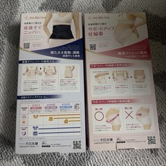 2pc Inujirushi Pregnancy LL & Postpartum L Support Belt Set