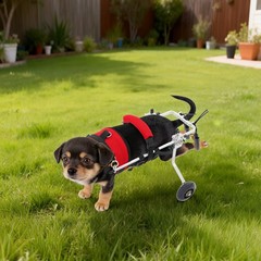 2-Wheel Adjustable Cat Wheelchair Lightweight For Back Legs Disabled Injured Pet