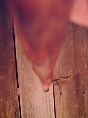 walking stick natural grown ROOT KNOB HANDLE for GOOD sized hands MADE IN USA