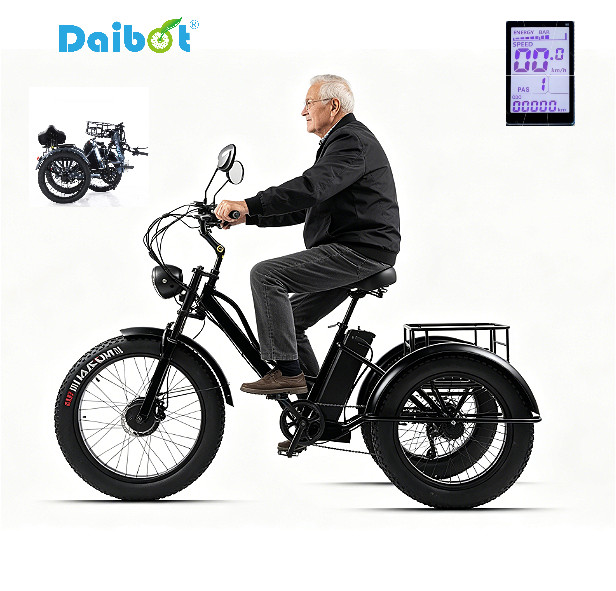 Daibot 24Inch 750W 48V Fat Tire E Trike Adult 7Speed 65km Removable Battery