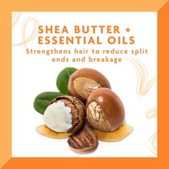 Cantu Daily Oil Moisturizer Shea Butter 13 Fl Oz Pack Of 3