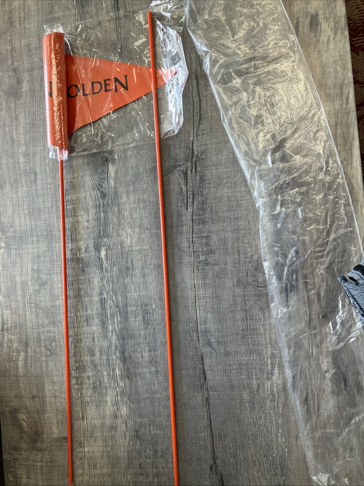 Golden Technologies Mobility Scooter Power Wheelchair Safety Flag Orange