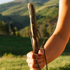 Brazos 48 Free Form Ironwood Walking Stick Hiking Trekking Pole, Made in the USA