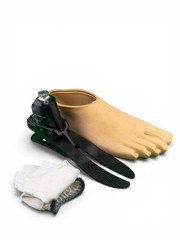 Blatchford echelon hydraulic ankle prosthetic foot. Size 29. Category 6. Right
