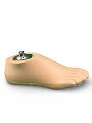 Streifeneder sach prosthetic foot. Right. Size 28. Excellent condition