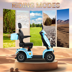 1000W 4-Wheel Heavy Duty Mobility Scooter for Seniors 500lbs 48V/20A 33 Miles