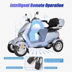 Four wheel Travel Mobility Scooter 800W 60V 20AH battery Motor for Adult Senior