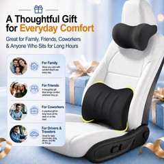 Lumbar Back Support Pillow Set for Car | Memory Foam Neck Headrest, Adjustable S