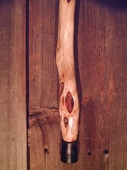 diamond willow walking stick STAG ANTLER handle cane custom made cane in the USA