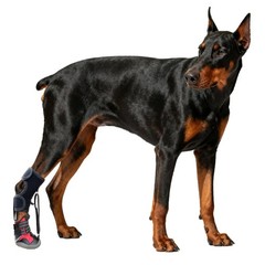 No Knuckling Boot Brace for Dog Dragging Paws 1/2Pieces Dog Shoes