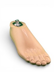 Streifeneder sach prosthetic foot. Right. Size 28. Excellent condition