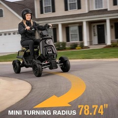 500/1000W Electric Mobility Scooter for Adults with Cargo Platform All Terrain