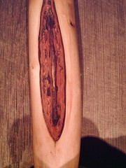 diamond willow walking stick STAG ANTLER handle cane custom made cane in the USA