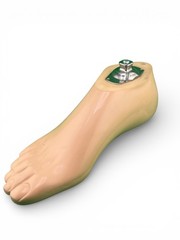 Streifeneder sach prosthetic foot. Right. Size 28. Excellent condition