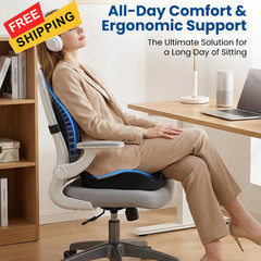 Seat Cushion Lumbar Support X-Large, & Pillow