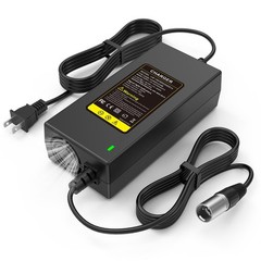 24V 5A 3-Pin Male XLR Connector Battery Charger for Lakematic, Pride Black