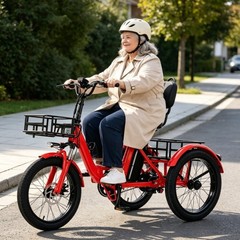 Daibot Adult Removable Battery Cargo Basket 350W Fold Mobility Trike 3 Wheel
