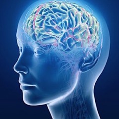 Memory booster and focus supplement – Brain & Memory BOOSTER FORMULA 777 – 2B