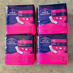 Set of 4- Women’s Prevail Daily Pads for Bladder Leaks REGULAR SIZE (4) /80 Ct